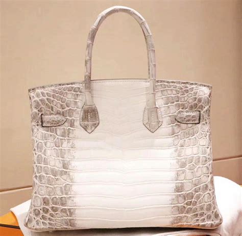 hermes birkin bag albino crocodile no background|hermes vintage crocodile kelly bag.